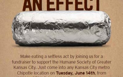 Chipotle Benefits Local Humane Society on June 14