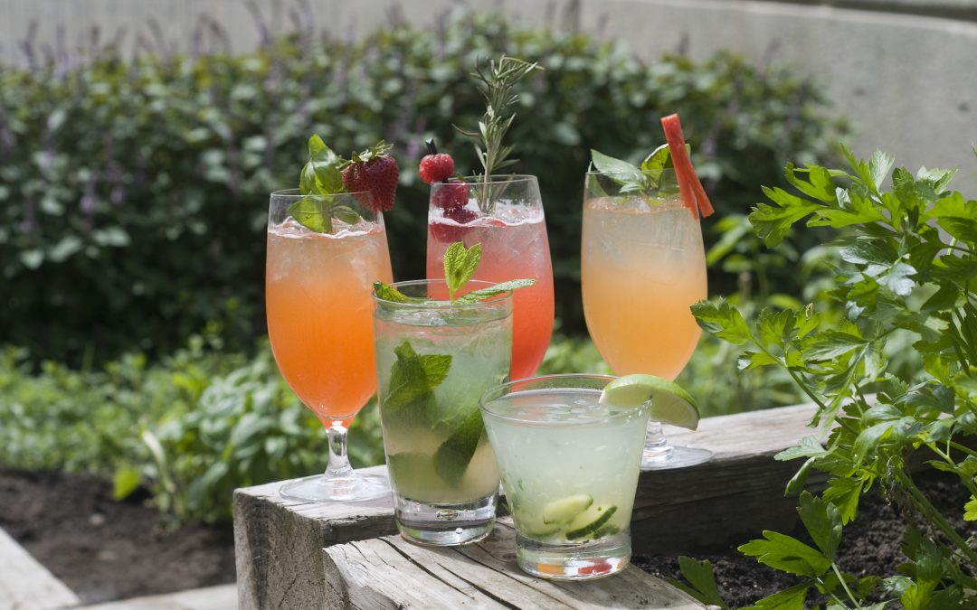 New Herb Infused Cocktail Menu at the Westin Crown Center